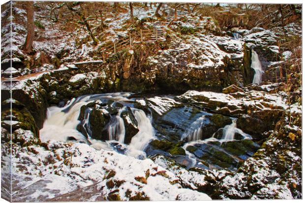 Frozen in time Canvas Print by David McCulloch
