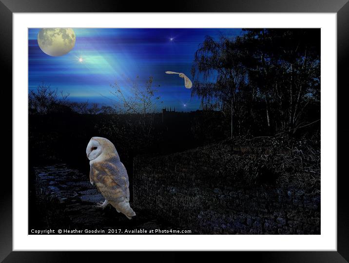 In the Night Garden. Framed Mounted Print by Heather Goodwin