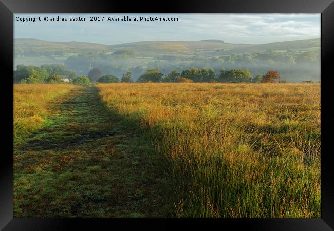 THE TRACK Framed Print by andrew saxton