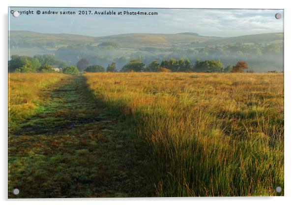 THE TRACK Acrylic by andrew saxton