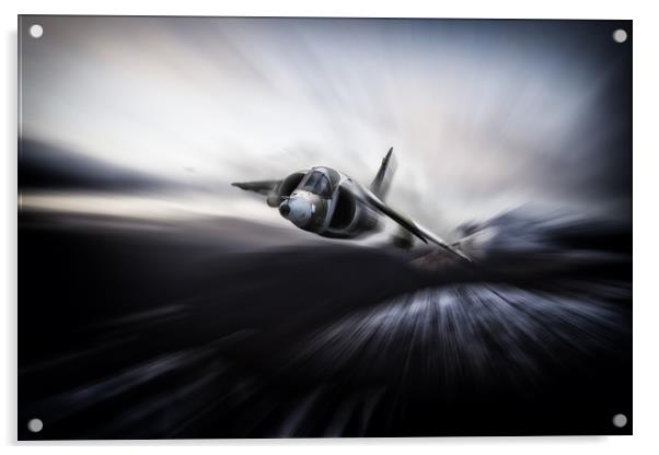 Winter Harrier Acrylic by J Biggadike