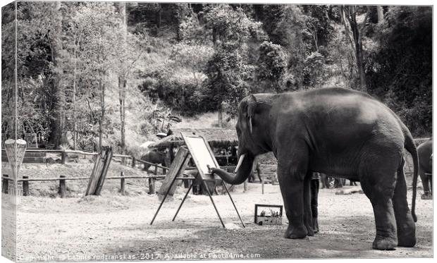 Black and white Thailand Elephant painting Canvas Print by Laimis rudzianskas