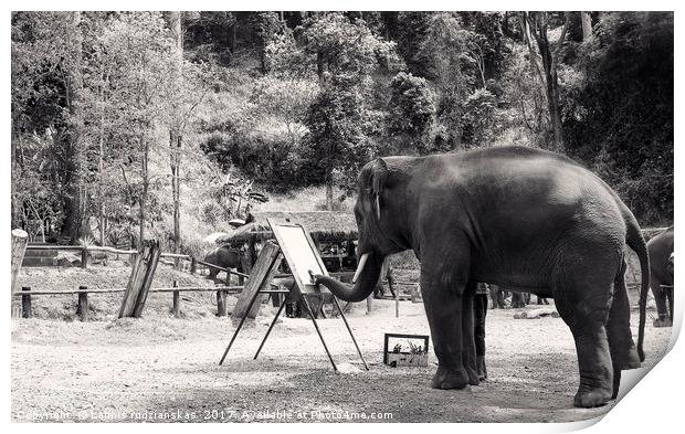 Black and white Thailand Elephant painting Print by Laimis rudzianskas