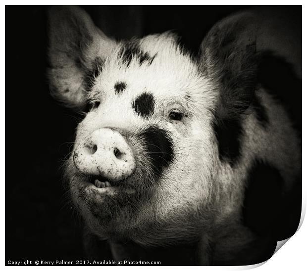 Happy Hog!  Print by Kerry Palmer