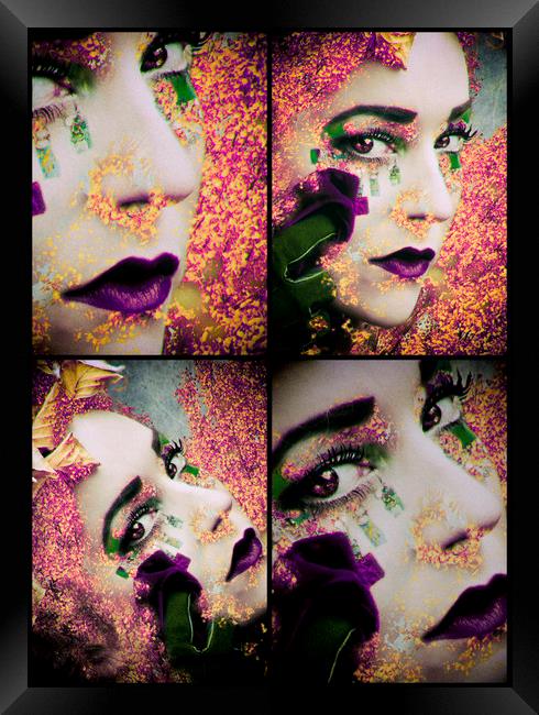 Shades of Purple Framed Print by Dawn Cox