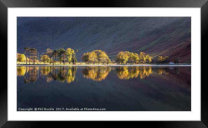 Shimmering Sentinels Framed Mounted Print by Phil Buckle