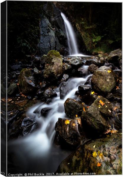 Hause Gill Falls Canvas Print by Phil Buckle