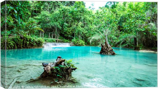 Thailand Blue and Green waterfall Canvas Print by Laimis rudzianskas