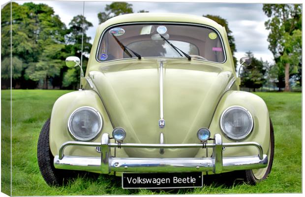 Volkswagen Beetle Canvas Print by Paddy Geoghegan