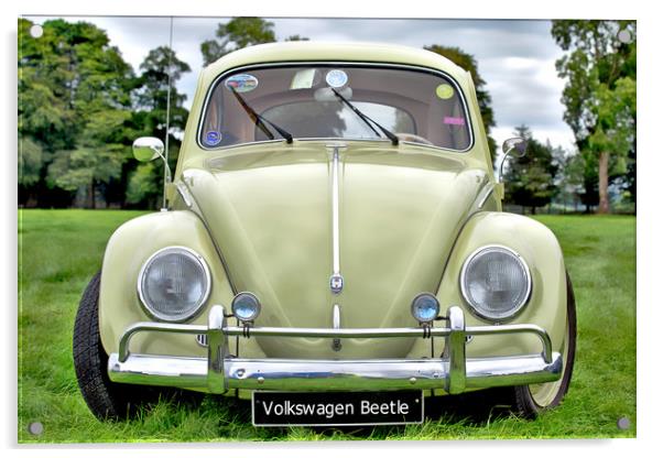Volkswagen Beetle Acrylic by Paddy Geoghegan