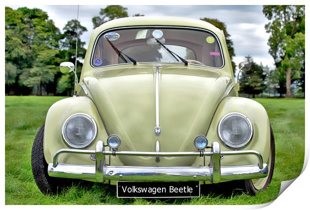 Volkswagen Beetle Print by Paddy Geoghegan