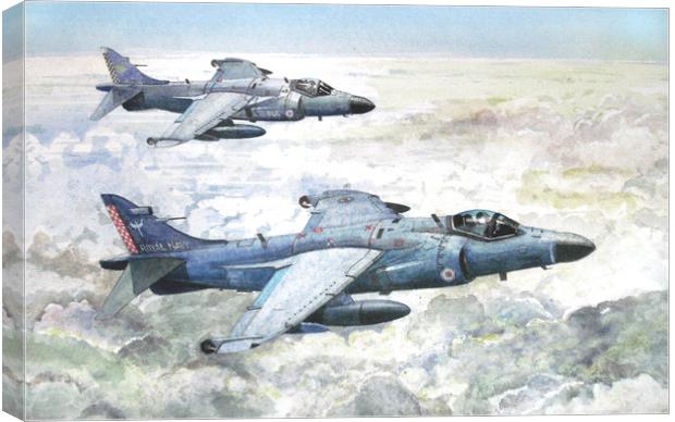 British Aerospace Sea Harriers Canvas Print by John Lowerson