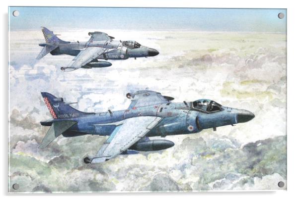 British Aerospace Sea Harriers Acrylic by John Lowerson