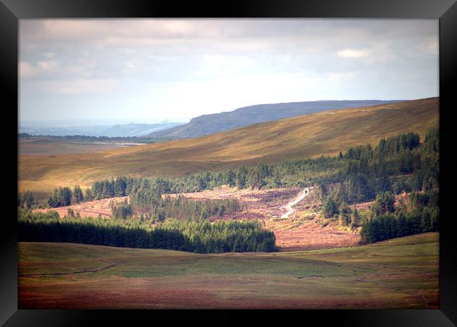 Yorkshire Dales Framed Print by Irene Burdell