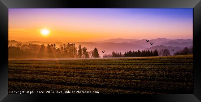 Mist at Dawn Framed Print by phil pace