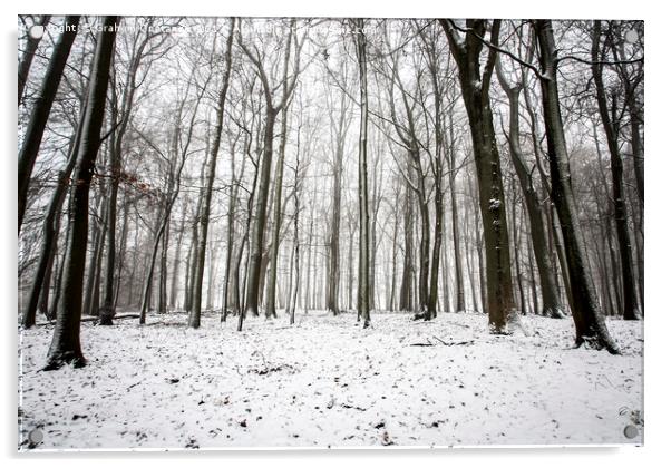 Winter Trees Acrylic by Graham Custance