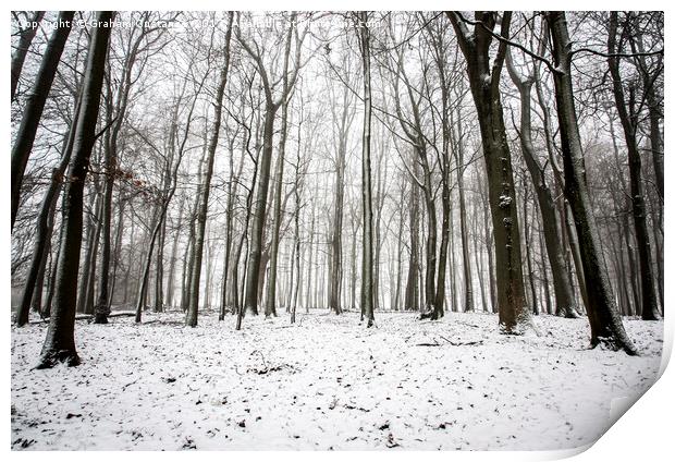 Winter Trees Print by Graham Custance