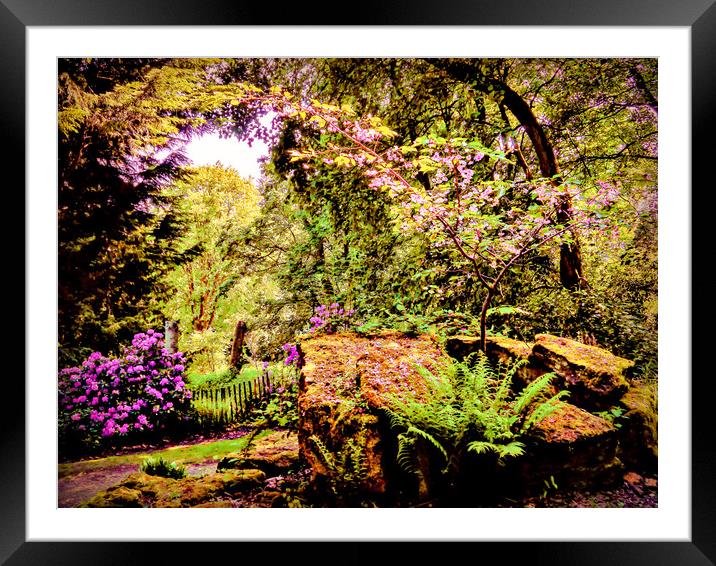 Essence of Nature Framed Mounted Print by Jason Williams