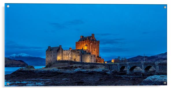Eilean Donan Castle Acrylic by John Hall