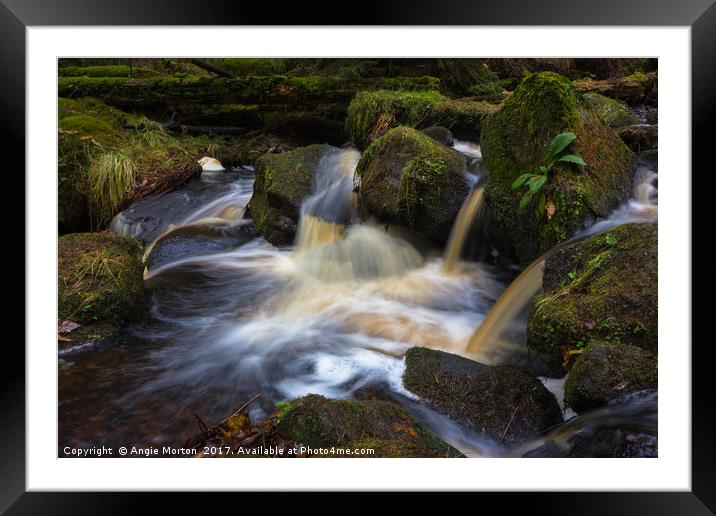 Wyming Brook Pool Framed Mounted Print by Angie Morton