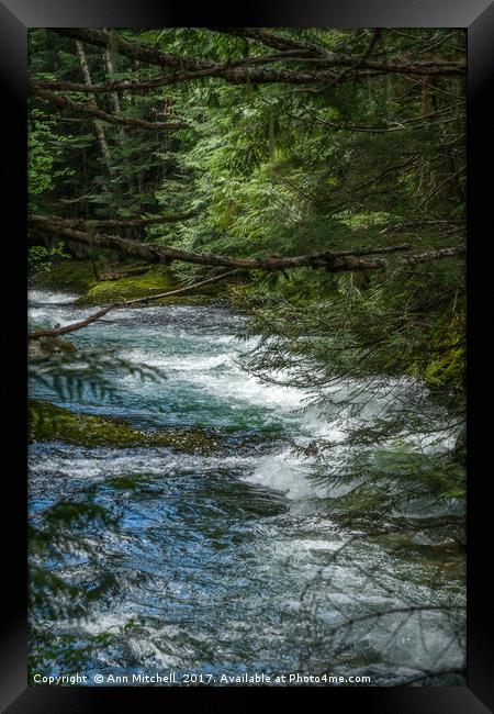 Mountain River Framed Print by Ann Mitchell