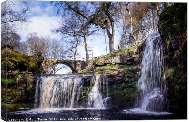Lumb Falls In Motion Canvas Print by Gary Turner