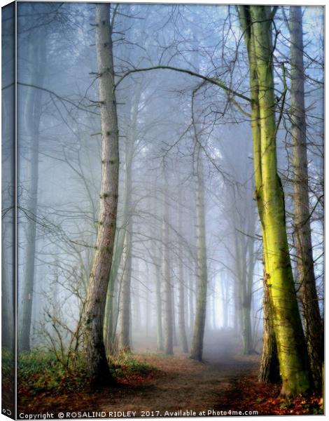"MISTY BLUE WOOD" Canvas Print by ROS RIDLEY