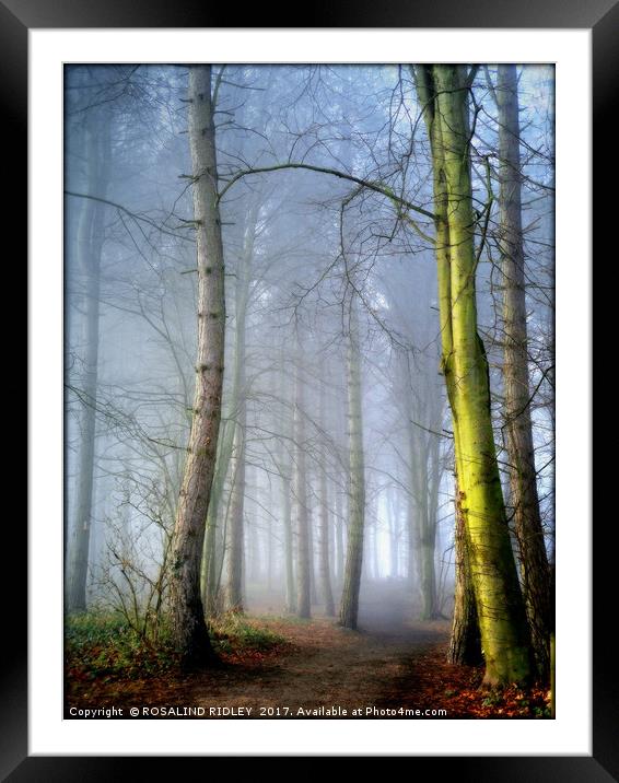 "MISTY BLUE WOOD" Framed Mounted Print by ROS RIDLEY