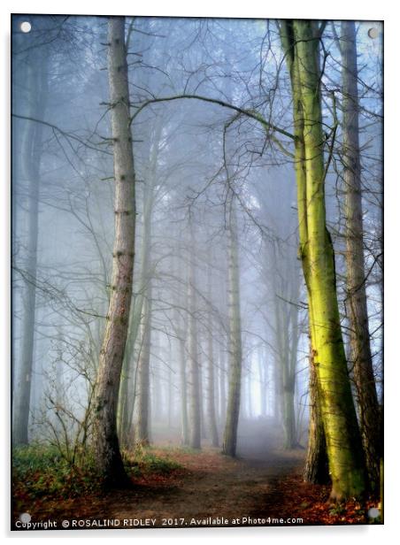 "MISTY BLUE WOOD" Acrylic by ROS RIDLEY