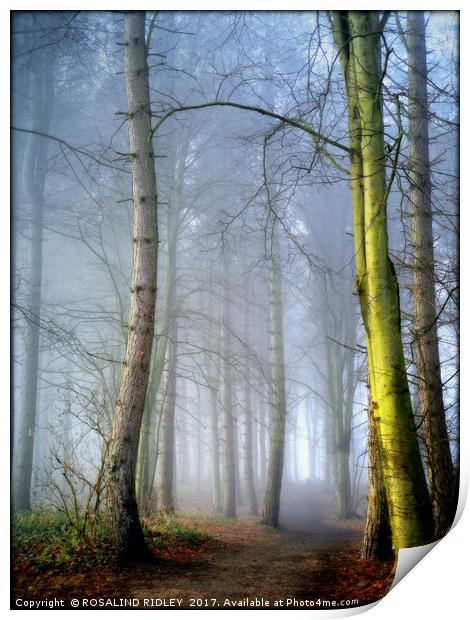 "MISTY BLUE WOOD" Print by ROS RIDLEY