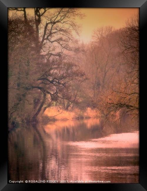 "SEPIA SUNSET" Framed Print by ROS RIDLEY
