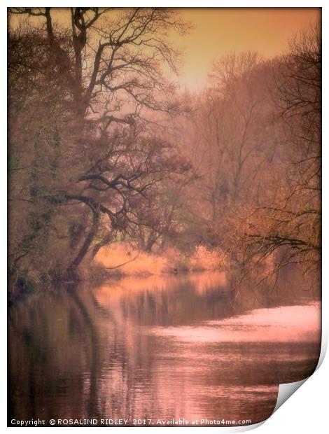 "SEPIA SUNSET" Print by ROS RIDLEY