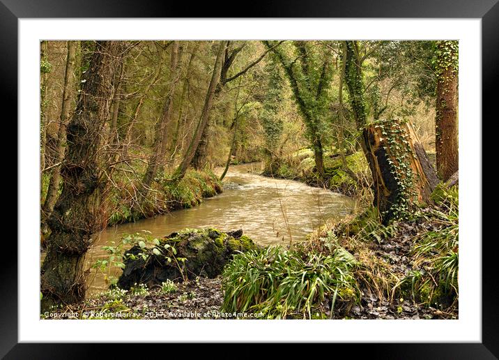  Spring comes to the Riverbank Framed Mounted Print by Robert Murray