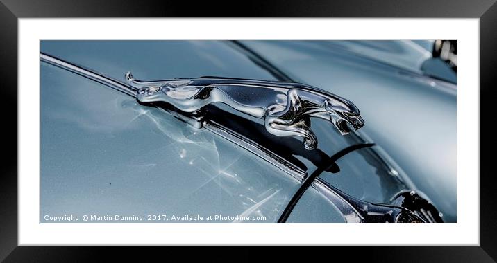 Jaguar Framed Mounted Print by Martin Dunning