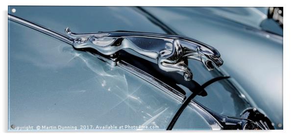 Jaguar Acrylic by Martin Dunning