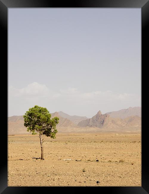 Lonely tree Framed Print by Marja Ozwell