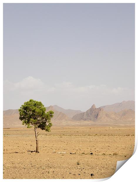 Lonely tree Print by Marja Ozwell