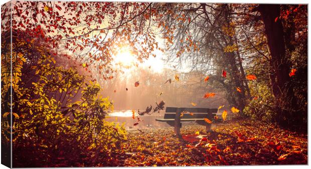 A beautiful autumn day at Hartsholme, Lincoln Canvas Print by Andrew Scott