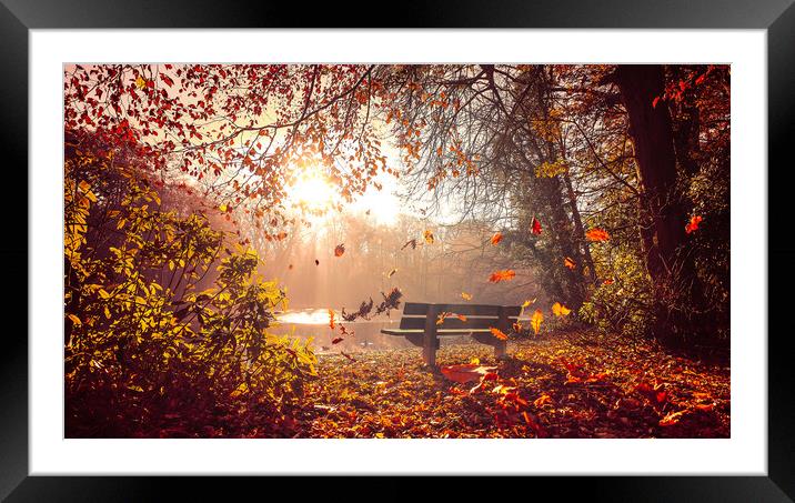 A beautiful autumn day at Hartsholme, Lincoln Framed Mounted Print by Andrew Scott