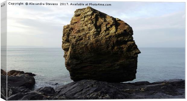 Tregardock Beach North Cornwall coast Canvas Print by Alexandra Stevens