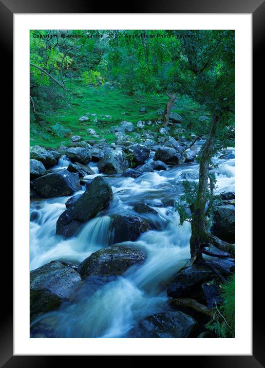 FLOWING THROUGH TREES  Framed Mounted Print by andrew saxton