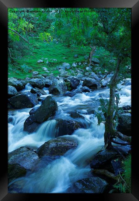 FLOWING THROUGH TREES  Framed Print by andrew saxton