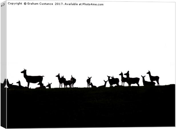 Deer Silhouette  Canvas Print by Graham Custance