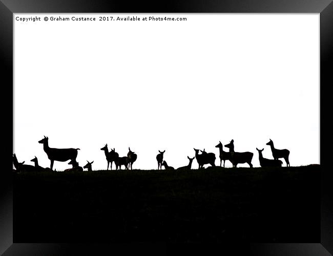 Deer Silhouette  Framed Print by Graham Custance