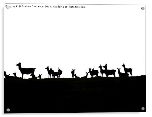 Deer Silhouette  Acrylic by Graham Custance