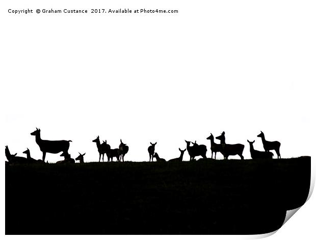 Deer Silhouette  Print by Graham Custance