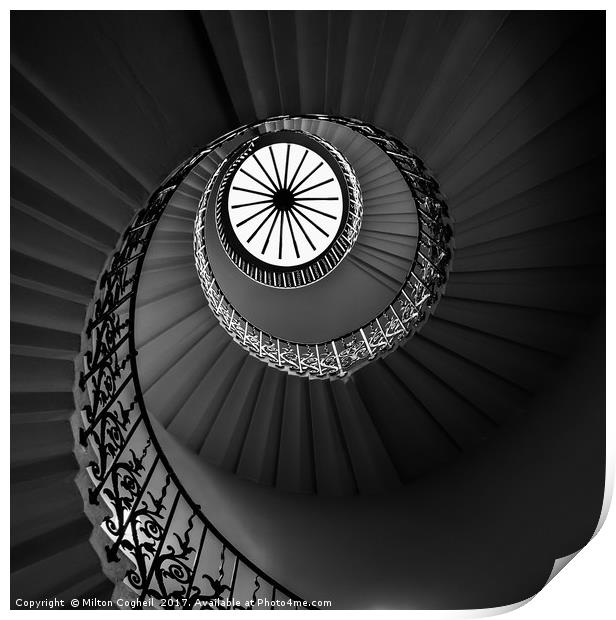 The Tulip Spiral Stairs - Dark Print by Milton Cogheil