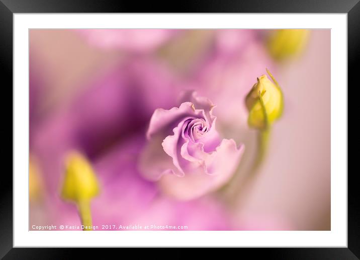 A Touch of Pink Framed Mounted Print by Kasia Design
