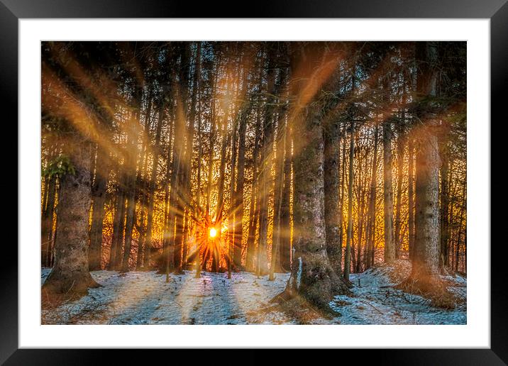 Morning Sunrays Framed Mounted Print by Sarah Ball