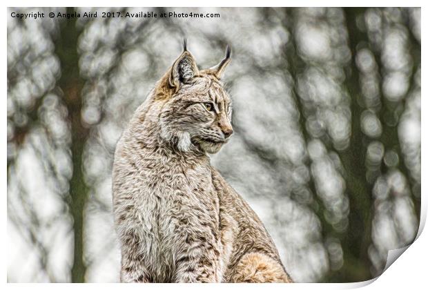 Lynx. Print by Angela Aird
